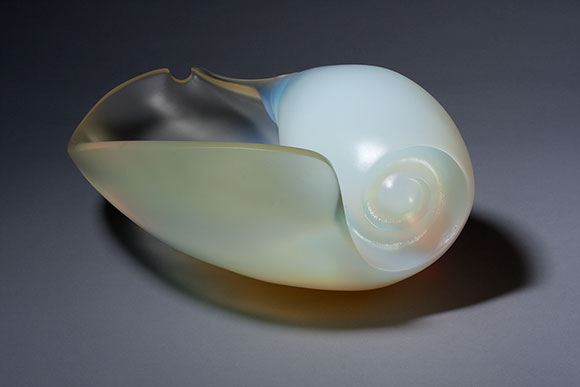 Voluta - white opalescent